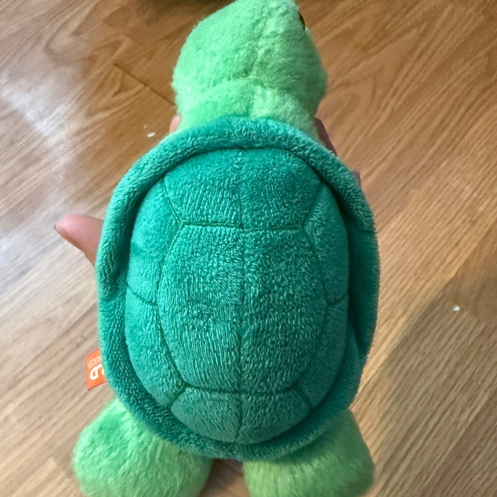 Green Turtle Plush Toy
